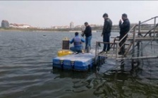  小型浮標(biāo)在線監(jiān)測(cè)系統(tǒng)