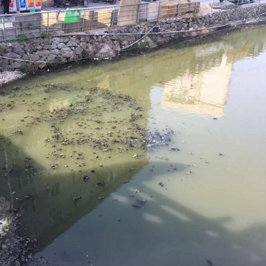  秋冬交替，污泥又到了換季膨脹的季節